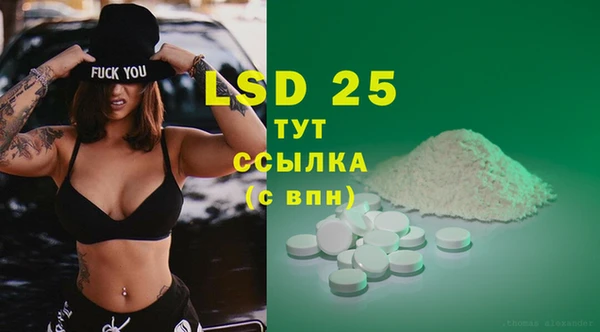 прущие грибы Аркадак