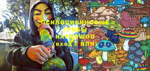 прущие грибы Аркадак