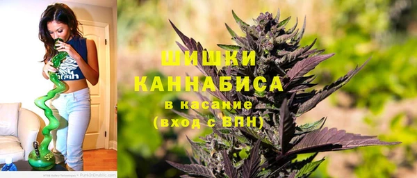 прущие грибы Аркадак