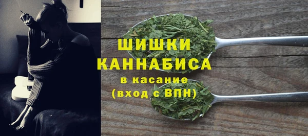 прущие грибы Аркадак