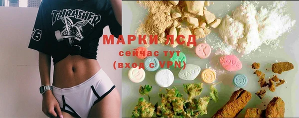 прущие грибы Аркадак